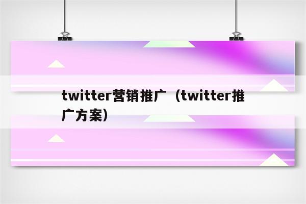 twitter营销推广（twitter推广方案）