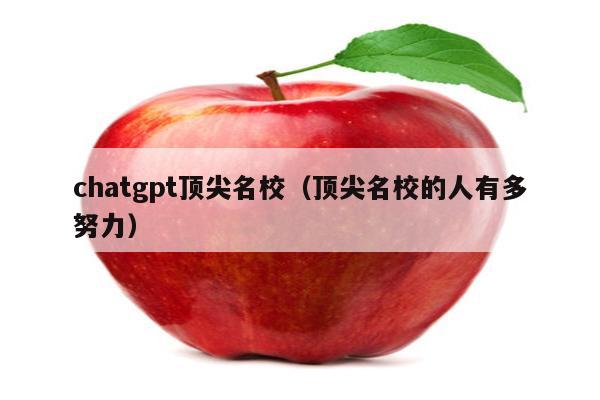 chatgpt顶尖名校（顶尖名校的人有多努力）