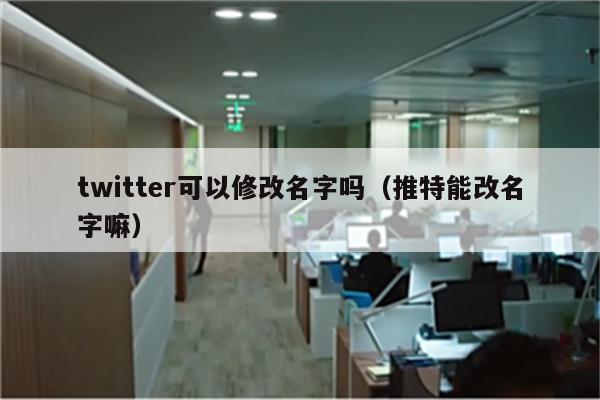 twitter可以修改名字吗（推特能改名字嘛）