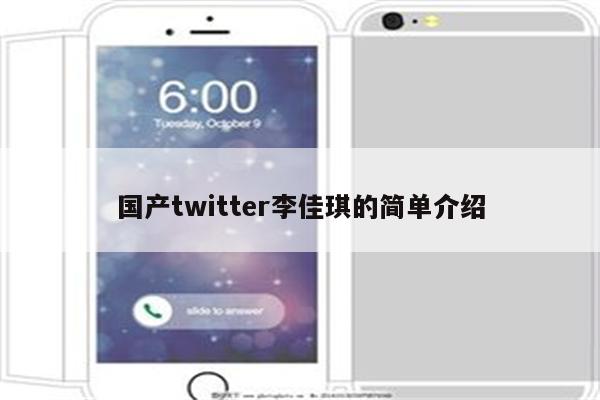 国产twitter李佳琪的简单介绍