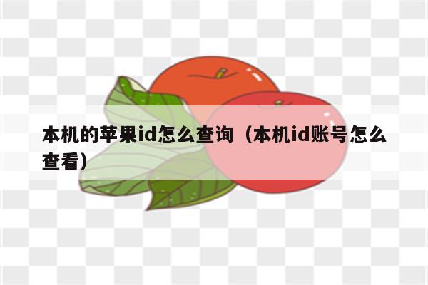 本机的苹果id怎么查询（本机id账号怎么查看）