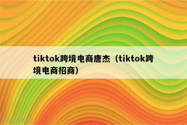 tiktok跨境电商唐杰（tiktok跨境电商招商）