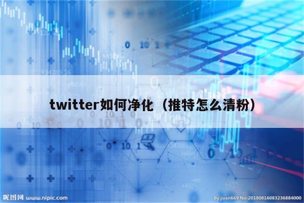 twitter如何净化（推特怎么清粉）