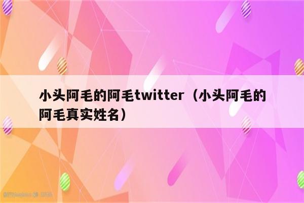 小头阿毛的阿毛twitter（小头阿毛的阿毛真实姓名）