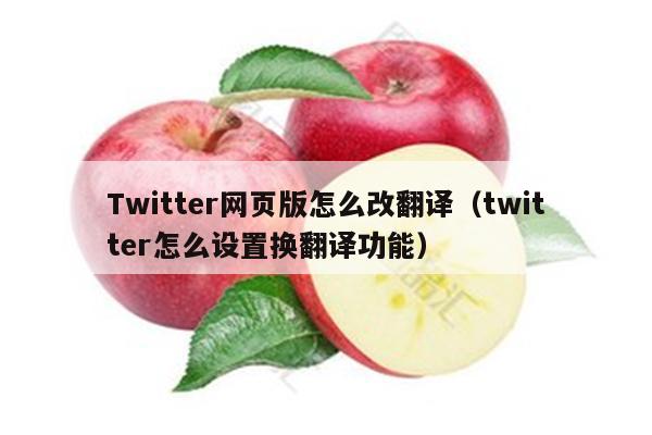 Twitter网页版怎么改翻译（twitter怎么设置换翻译功能）