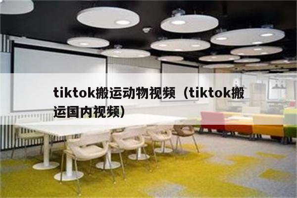 tiktok搬运动物视频（tiktok搬运国内视频）