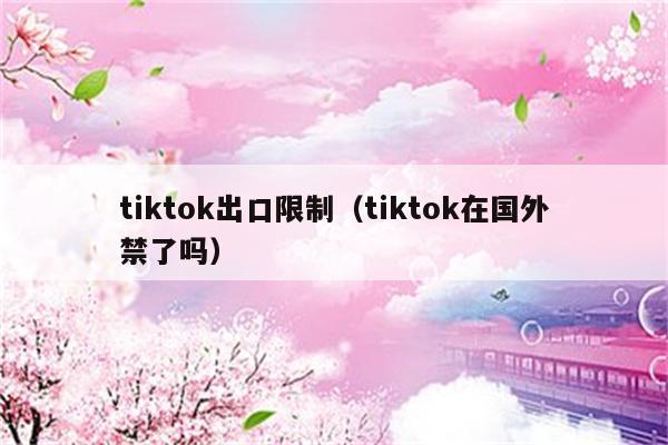 tiktok出口限制（tiktok在国外禁了吗）