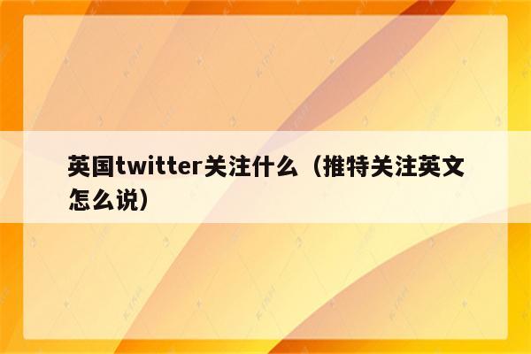 英国twitter关注什么（推特关注英文怎么说）