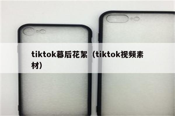 tiktok幕后花絮（tiktok视频素材）