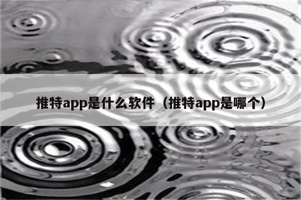 推特app是什么软件（推特app是哪个）