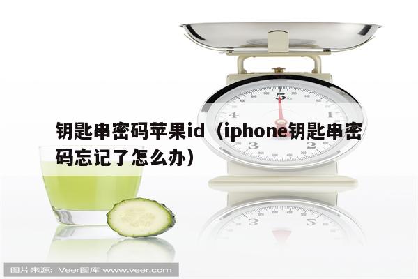 钥匙串密码苹果id（iphone钥匙串密码忘记了怎么办）