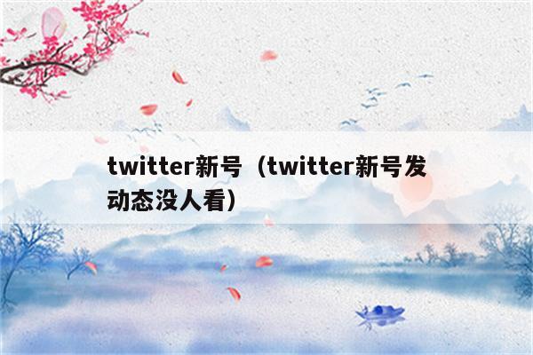 twitter新号（twitter新号发动态没人看）