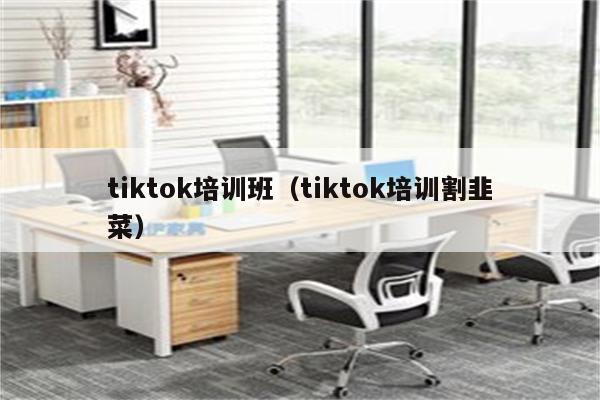 tiktok培训班（tiktok培训割韭菜）