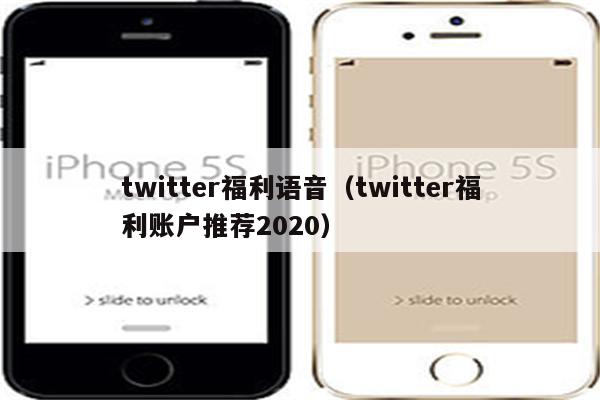 twitter福利语音（twitter福利账户推荐2020）