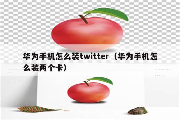 华为手机怎么装twitter（华为手机怎么装两个卡）