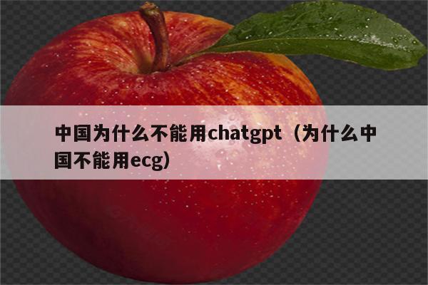 中国为什么不能用chatgpt（为什么中国不能用ecg）