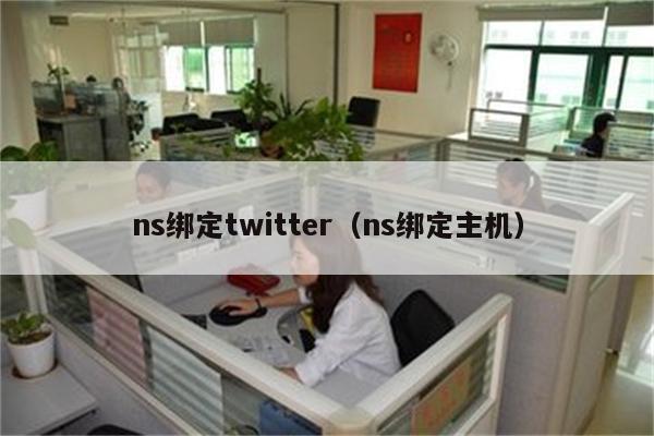 ns绑定twitter（ns绑定主机）