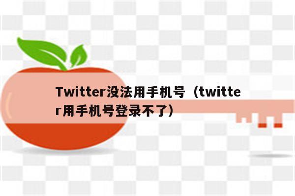 Twitter没法用手机号（twitter用手机号登录不了）