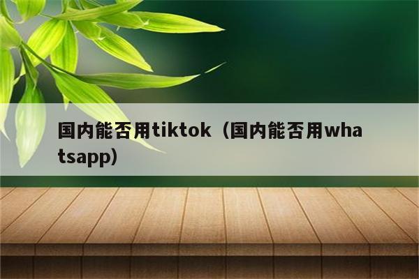 国内能否用tiktok（国内能否用whatsapp）