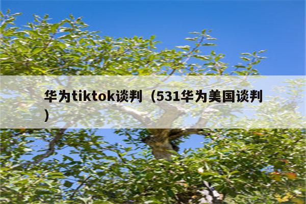 华为tiktok谈判（531华为美国谈判）