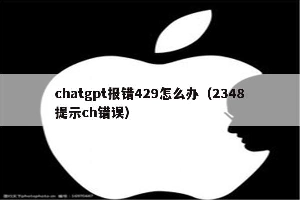 chatgpt报错429怎么办（2348提示ch错误）