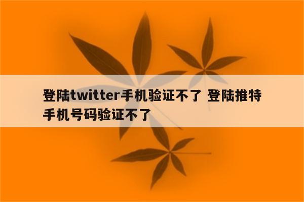 登陆twitter手机验证不了 登陆推特手机号码验证不了