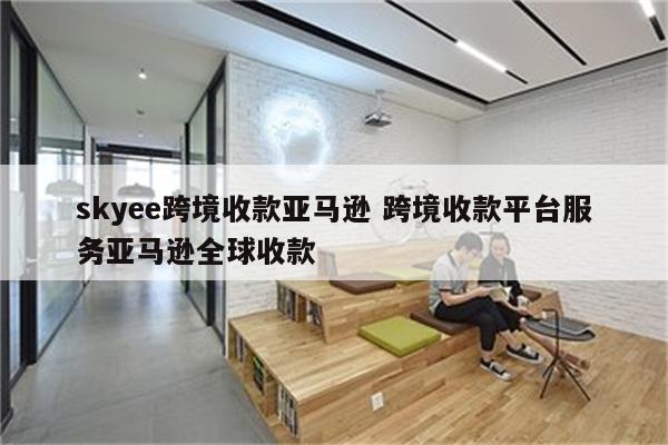 skyee跨境收款亚马逊 跨境收款平台服务亚马逊全球收款