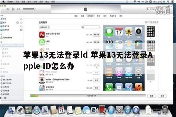 苹果13无法登录id 苹果13无法登录Apple ID怎么办