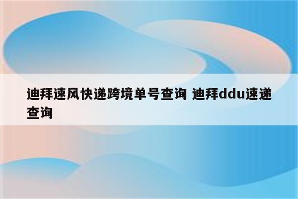 迪拜速风快递跨境单号查询 迪拜ddu速递查询