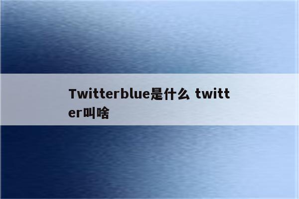 Twitterblue是什么 twitter叫啥