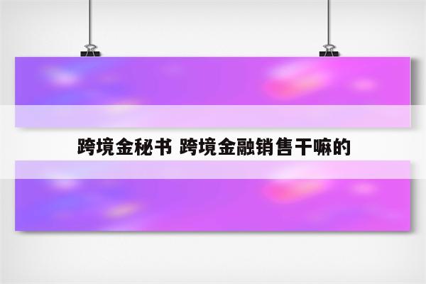 跨境金秘书 跨境金融销售干嘛的