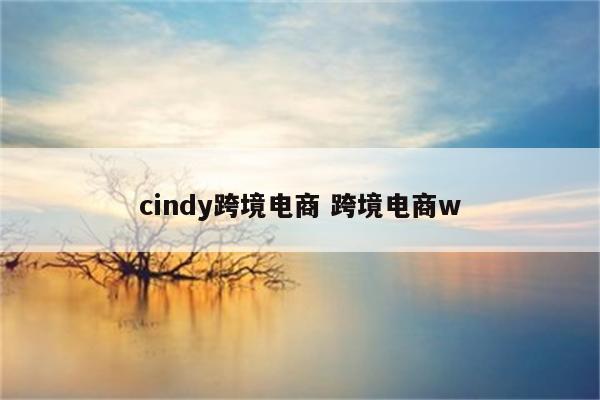 cindy跨境电商 跨境电商w