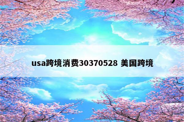 usa跨境消费30370528 美国跨境