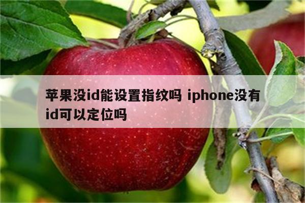 苹果没id能设置指纹吗 iphone没有id可以定位吗