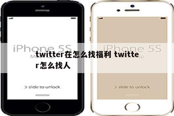 twitter在怎么找福利 twitter怎么找人