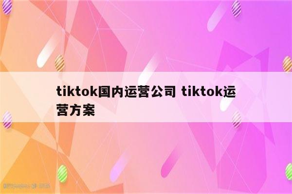 tiktok国内运营公司 tiktok运营方案