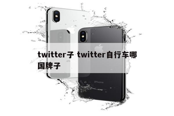 twitter子 twitter自行车哪国牌子