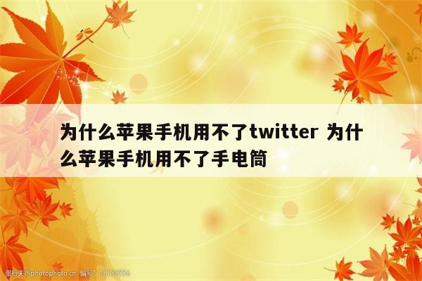 为什么苹果手机用不了twitter 为什么苹果手机用不了手电筒