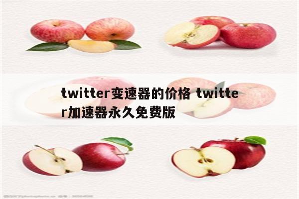 twitter变速器的价格 twitter加速器永久免费版