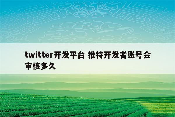 twitter开发平台 推特开发者账号会审核多久