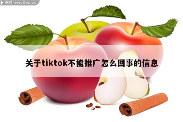 关于tiktok不能推广怎么回事的信息