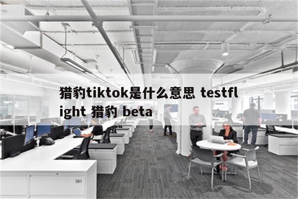 猎豹tiktok是什么意思 testflight 猎豹 beta