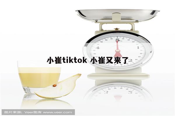 小崔tiktok 小崔又来了