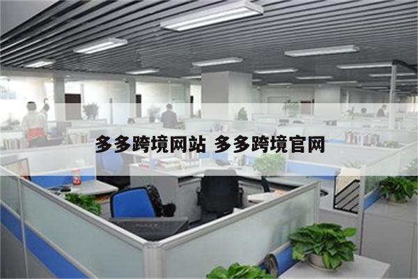 多多跨境网站 多多跨境官网