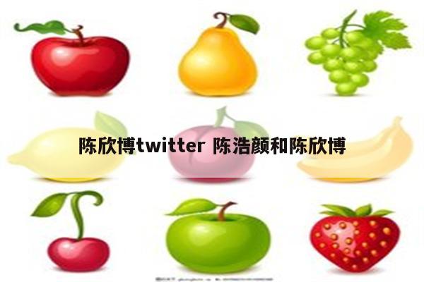 陈欣博twitter 陈浩颜和陈欣博