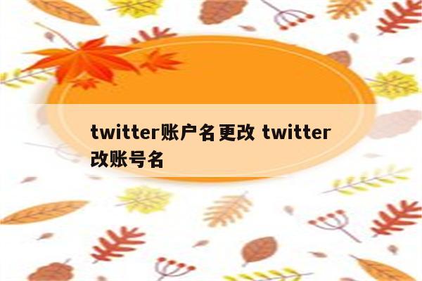 twitter账户名更改 twitter改账号名