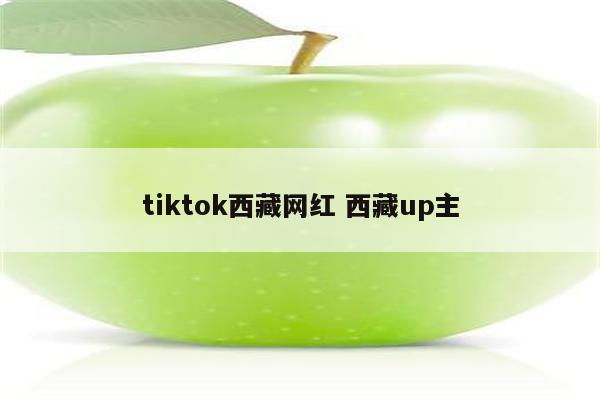 tiktok西藏网红 西藏up主