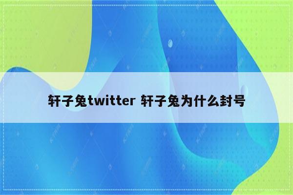 轩子兔twitter 轩子兔为什么封号