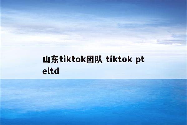 山东tiktok团队 tiktok pteltd