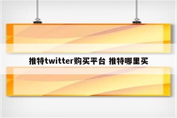 推特twitter购买平台 推特哪里买